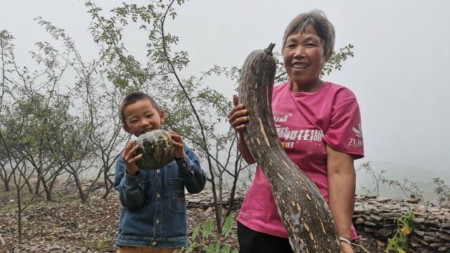 8岁新铭上山帮姥姥摘方瓜,海霞山上摘啥野果奖励孩子?你们吃过吗