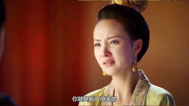 温柔善良的太子妃,如果没有她爹张尚书,她和顾内人应该会成人一对很好的姐妹吧!