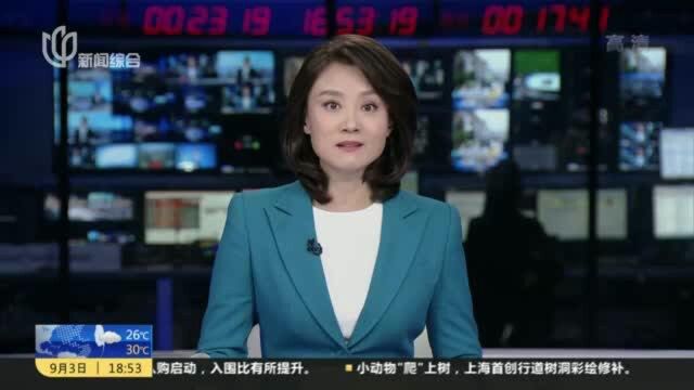 浦东:实施奥特莱斯商圈提升计划 “佛罗伦萨小镇”扩容