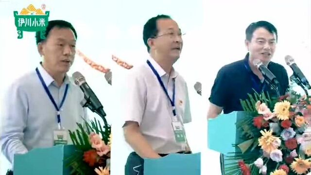 全国谷子产业创新发展大会在伊川举办! 9月4日,全国谷子产业创新发展大会在伊川隆重举办,中科院院士、中国农科院作科所所长钱前,国家谷子高粱产...