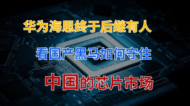 国产芯片黑马蝉联全球第一,击败2家美国巨头,抢下38%全球市场