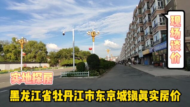 黑龙江省牡丹江市东京城镇真实房价,实地探房以买房者身份现场谈价