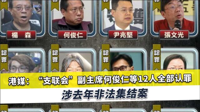 乱港组织12名成员全部认罪,曾与黄之锋勾结,制造震动全球的暴乱