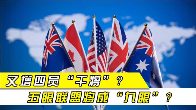 “五眼联盟”即将扩大,“九眼联盟”将成现实?4个国家赫然在列