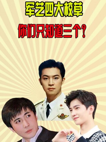 明星八卦#刘迦#杨洋