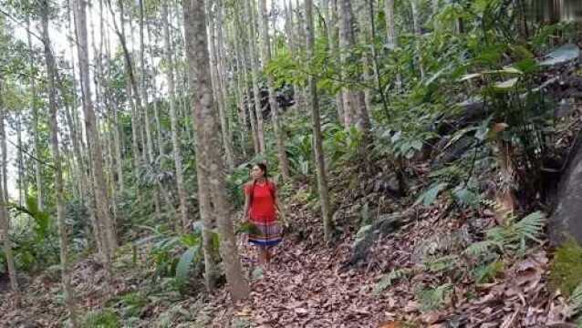 荒野大姐在原始森林中与未知怪物上演食物争夺大战,一触即发!