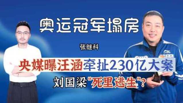 央媒曝汪涵牵扯230亿大案,刘国梁“死里逃生”?