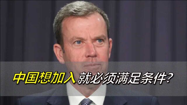 中国想加入,就必须满足条件?澳部长:第一步是恢复和莫政府沟通