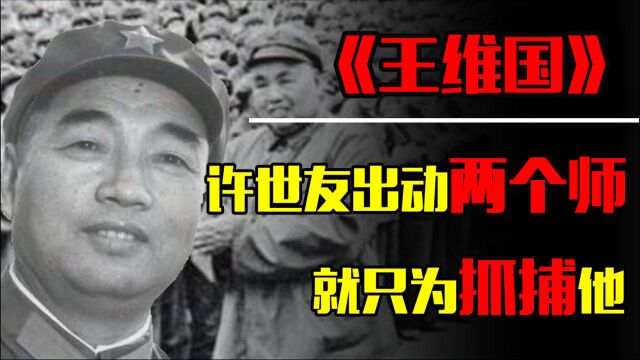 1971年,许世友接到密令,直接出动两个师的兵力,只为抓捕王维国