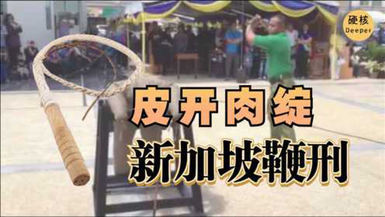 没人能挺得过第六鞭，令罪犯皮开肉绽的刑罚，新加坡鞭刑大揭秘！_腾讯视频