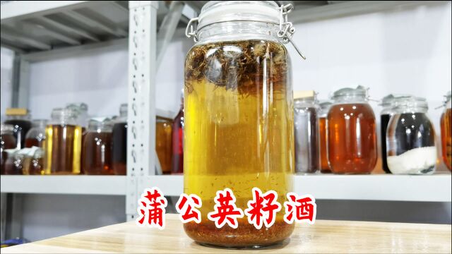 原神中蒲公英籽酿酒到底什么味道?今天它来了