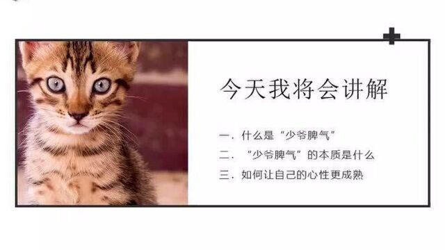 猫爵士:99%脱不了单的男生,都喜欢耍“少爷脾气”