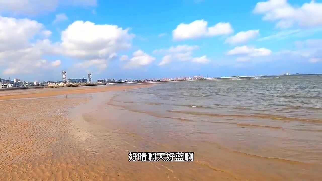 退潮后赶海,大庆发现梭子蟹集体躲在沙子里,还有带黄的海胆