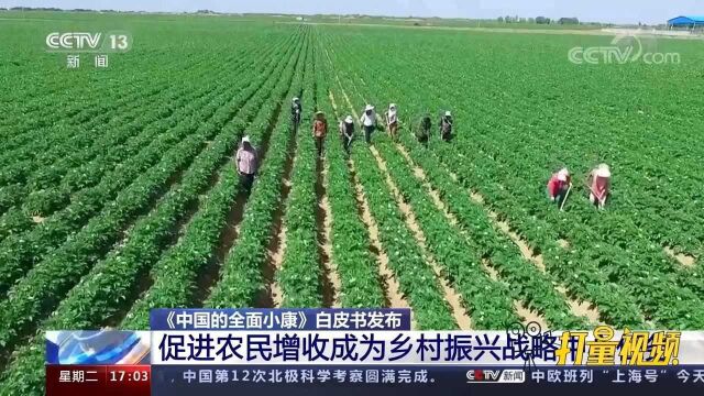 《中国的全面小康》白皮书:促进农民增收成乡村振兴战略中心任务