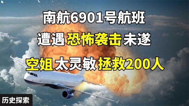 飞机高空遭恐袭,空姐凭嗅觉识破诡计,南航6901号航班08年事件