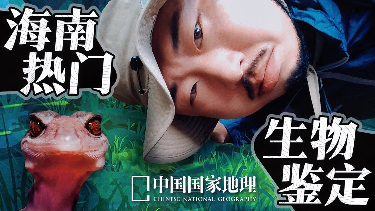 狐主任现场鉴定海南热带雨林里的特有物种!_高清1080P在线观看平台_腾讯视频