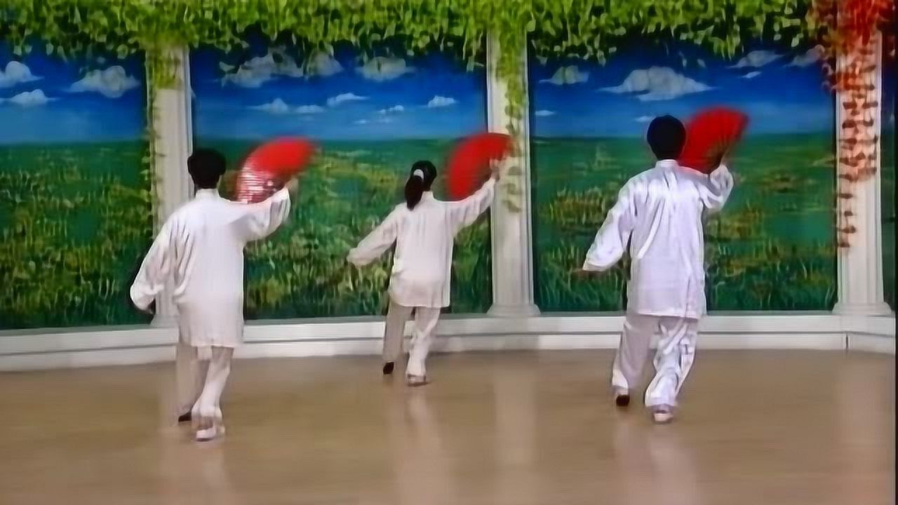 太极功夫扇第一套背向演练(高清)_腾讯视频