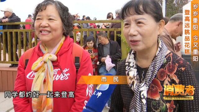 九九登高,岁岁重阳,又重阳!这个日子,让孩子和“花糕”陪您吧