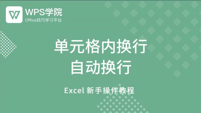 27.单元格内换行 自动换行