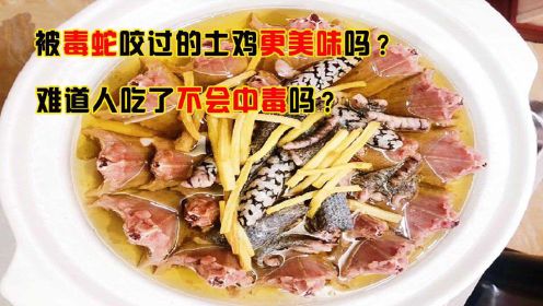 广东有道名菜“毒蛇咬鸡”，被毒蛇咬过的鸡更美味，这是真的吗？