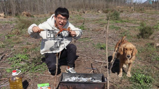 小亮做美食碳烤牛蛙,看小亮吃的满口留香,金毛却害怕有毒不敢吃