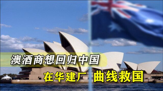 不肯放弃中国市场,澳洲葡萄酒商“曲线救国”,前途渺茫