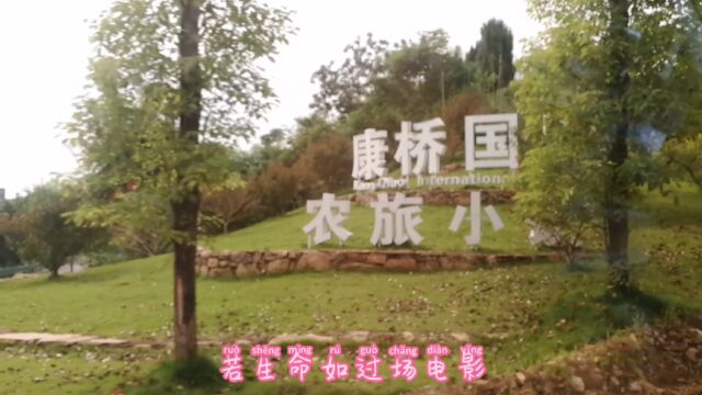 实拍,威远康桥国际农旅小镇,康桥恬园