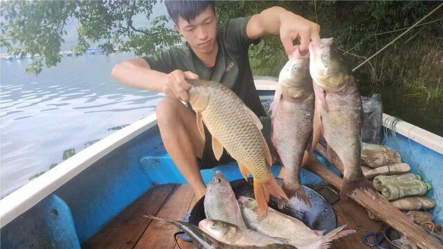 渔民阿欢捕获野生鱼当场起锅烧油,一大锅红烧鱼头,吃撑了四人