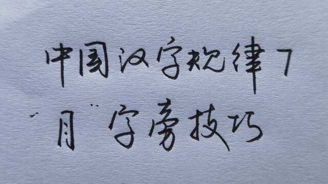 四周年之一个规律解决“月字旁”的练字问题