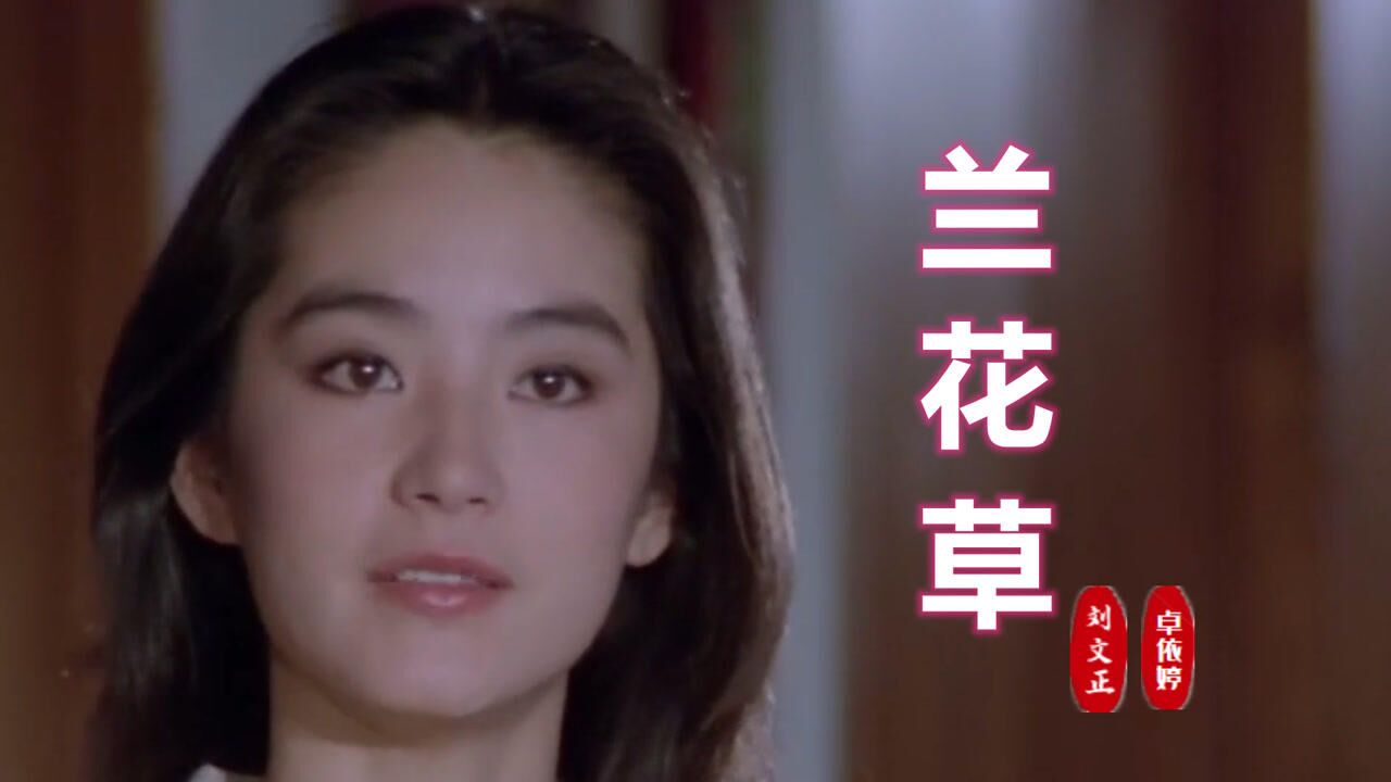一首经典怀旧老歌兰花草刘文正卓依婷唱的悠扬动听