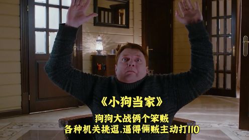 狗狗大战俩个笨贼，各种机关挑逗，逼得倆贼主动打110