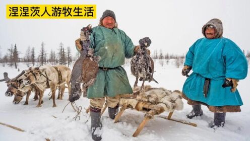 [图]涅涅茨人是游牧民族，与驯鹿终生为伴，茹毛饮血，条件艰苦