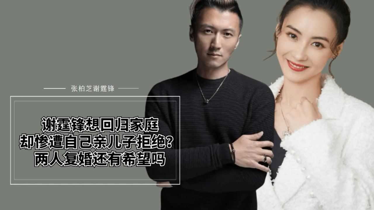 谢霆锋想回归家庭,却被自己的亲儿子拒绝,他和张柏芝还能复婚吗