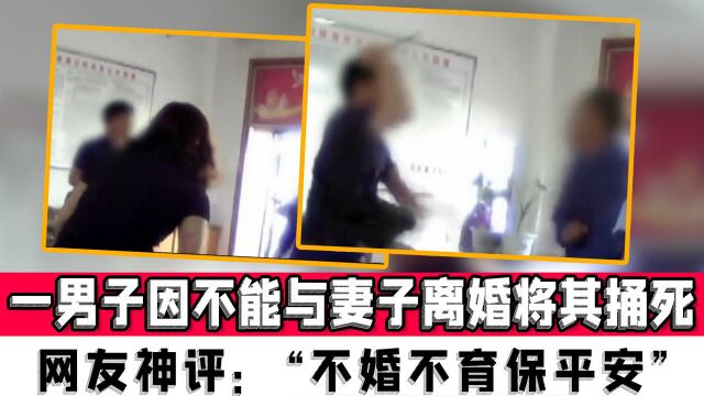 吉林一男子因不能与妻子离婚将其捅死,网友神评:“不婚不育保平安”