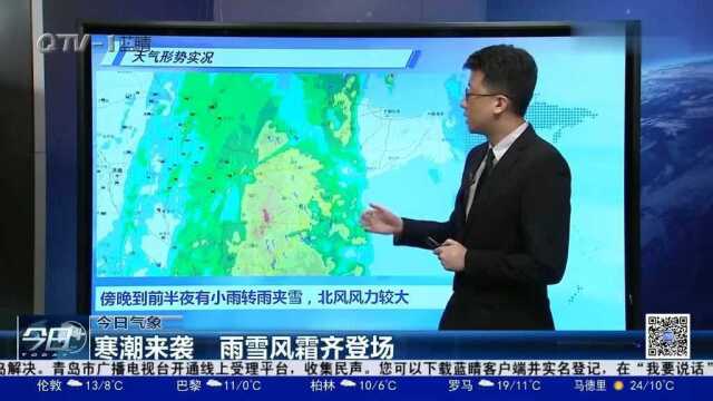 “立冬”寒潮来袭!岛城雨、雪、风、霜齐登场,气温断崖式下降