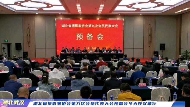 湖北省摄影家协会第九次会员代表大会预备会在汉举行