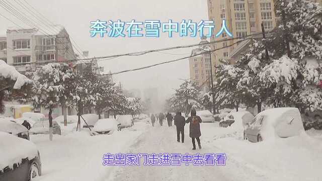 走出家门走进雪中去看看