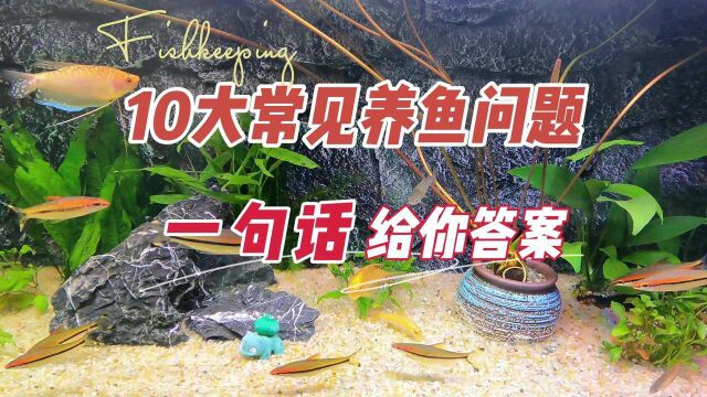 养鱼遇到的10大常见问题,一句话给你答案:养鱼笔记