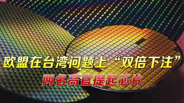 目标也是台积电!“官方代表团”窜访台湾,欧盟内部准备好了?