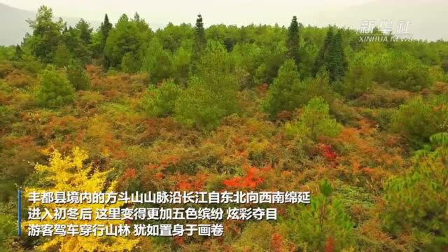 重庆丰都方斗山:初冬山林美如画