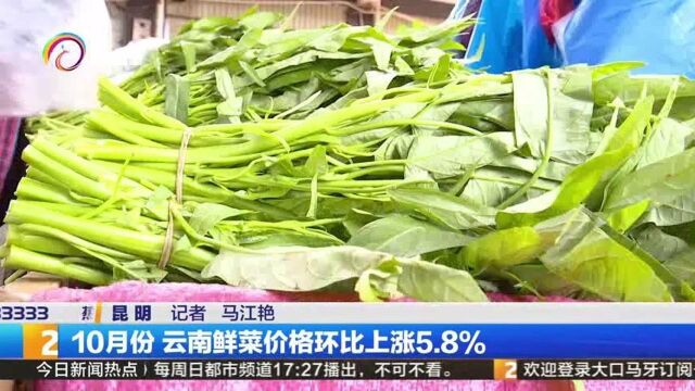 10月份!云南鲜菜价格环比上涨5.8%