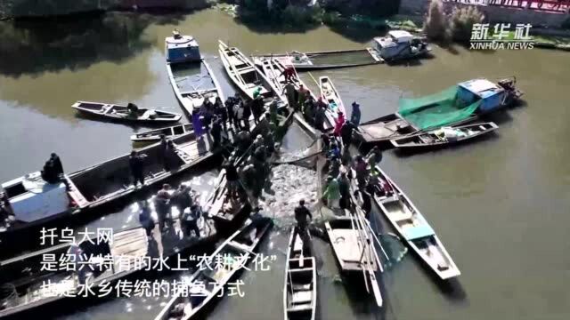 浙江绍兴:渔民拉开“乌大网” 开启冬捕