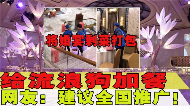 婚宴剩菜打包变狗粮,安徽两对新人获点赞,网友:建议全国推广!