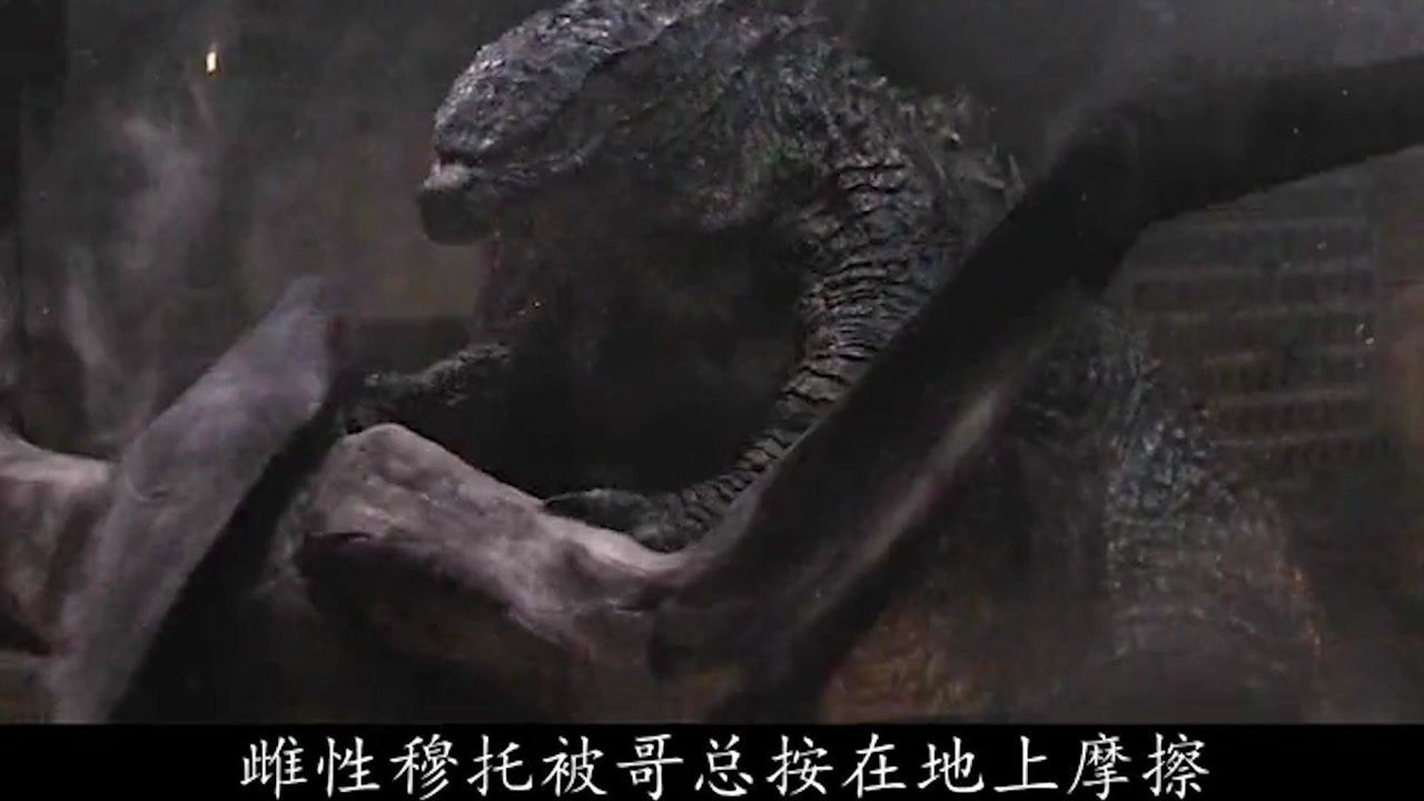 这只巨兽名叫穆托,从远古时期就是哥斯拉的天地,它们相互争斗几亿年_高清1080P在线观看平台_腾讯视频