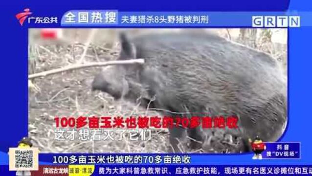 全国热搜:央行为何出台收款码支付新规