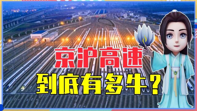 经停24个站点,中国高铁“印钞机”工程,京沪高速到底有多牛?