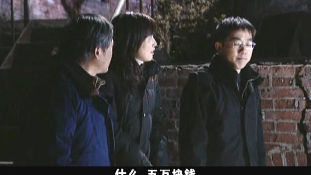 公司会计告诉新副总,公司有两套假账,如今真账也被人偷走