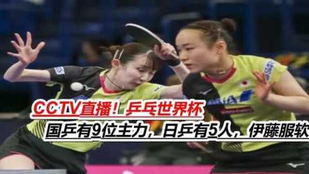 CCTV直播!乒乓世界杯,国乒有9位主力,日乒有5人,伊藤服软退赛