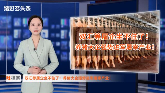 双汇等屠企坐不住了!养猪大户强势加码屠宰产能,屠企红利多大?