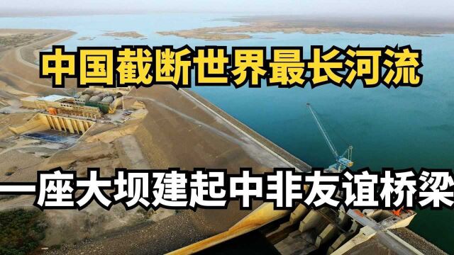 中国截断世界最长河流,一座大坝建起中非友谊桥梁